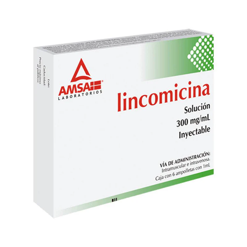 Ams Lincomicina 300 Mg 6x1 Ml